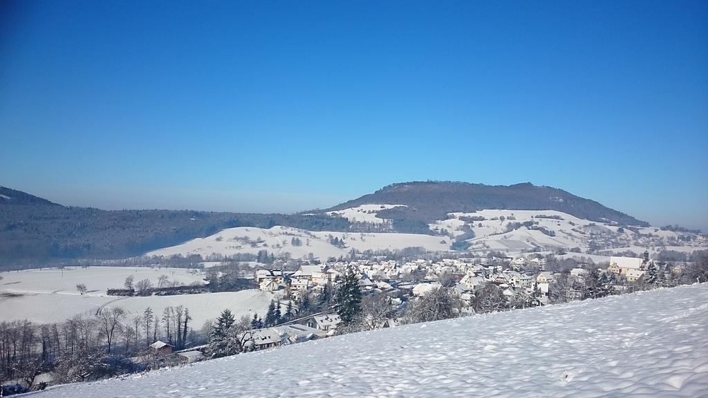 Familien Themen-Appartement Freiburg In Soelden 2 Schlafzimmer Bagian luar foto