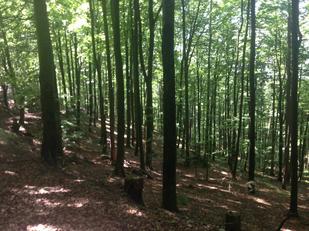 Familien Themen-Appartement Freiburg In Soelden 2 Schlafzimmer Bagian luar foto